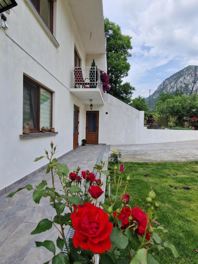 Renate House Hotel Baile Herculane Exterior photo